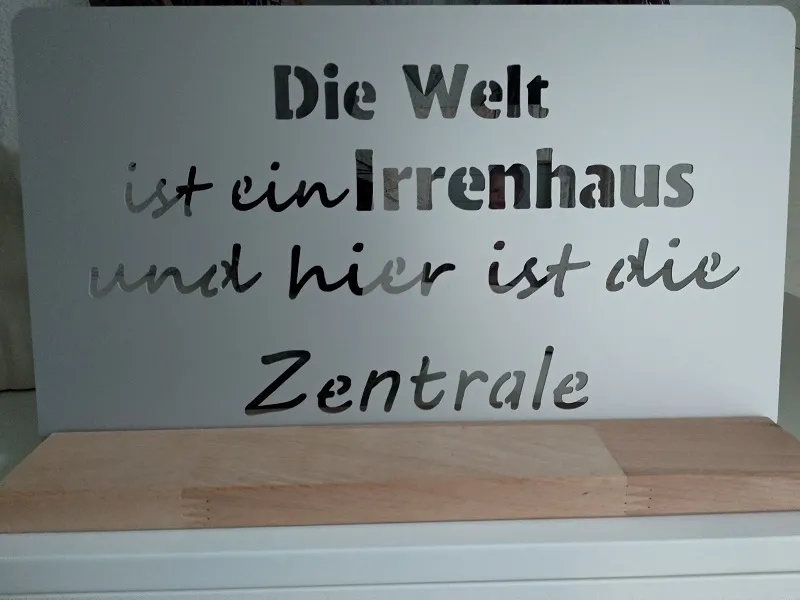 BSB Design Schild Alu grau matt | Die Welt ist ein Irrenhaus und hier ist die Zentrale | mit Holzsockel