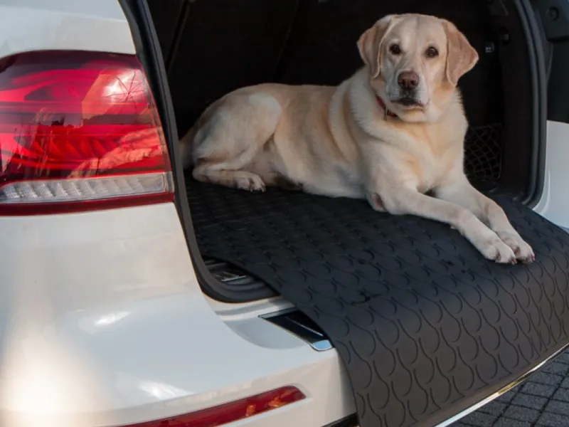 GLEDRING® DoggyMat® BIG |  Ladekantenschutz