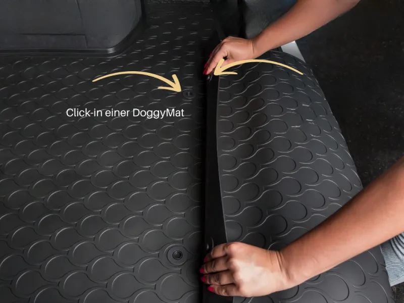 GLEDRING® DoggyMat® SMALL | Ladekantenschutz
