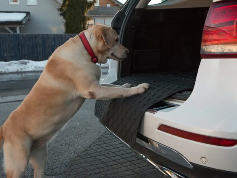 GLEDRING® DoggyMat® SMALL | Ladekantenschutz