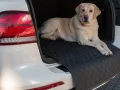 GLEDRING® DoggyMat® SMALL | Ladekantenschutz